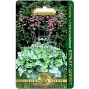 Гейхера Коралл Форест 8шт Биотехника