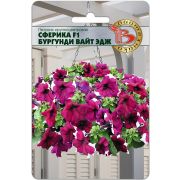 Петуния Сферика Бургунди Вайт Эдж 10шт Биотехника