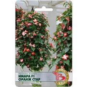 Импатиенс Имара Оранж Стар 8шт Биотехника Бальзамин