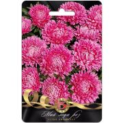 Астра Май Леди Роз 30шт Биотехника