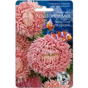 Астра Хризантелла Коралл 30шт Биотехника