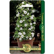 Тунбергия Сюзи Вайт 6шт Биотехника