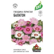 Гвоздика Балатон 0,05г ХИТ Гавриш