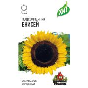 Подсолнечник Енисей 5 г ХИТ Гавриш