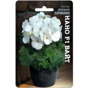 Пеларгония Нано F1 Вайт карликовая 5шт Биотехника