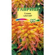 Сальвия Альтаир 5 шт Гавриш