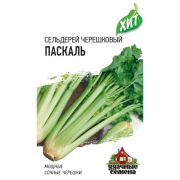 Сельдерей Паскаль черешковый 0,1г ХИТ Гавриш