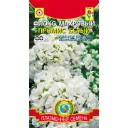Флокс Промис белый махровый 5 шт Агроника