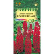 Люпин Красное пламя 0,5г Гавриш