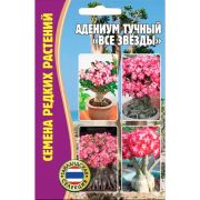 Адениум Все Звёзды тучный 3шт Редкие Семена