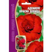 Адениум Красная Девица 3шт Редкие Семена