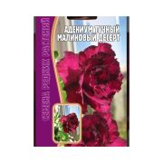 Адениум Малиновый Десерт тучный 3шт Редкие Семена