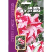 Адениум Прелестная Девушка 3шт Редкие Семена