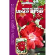 Адениум Аленький Цветочек пестролистный 3шт Редкие Семена
