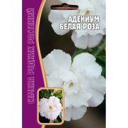 Адениум Белая Роза 3шт Редкие Семена