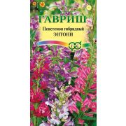 Пенстемон Энтони 0,1г Гавриш
