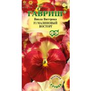 Виола Малиновый восторг 5шт Гавриш