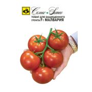 Томат Малвария F1 5шт Семко