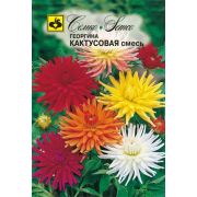 Георгина Кактусовидная смесь