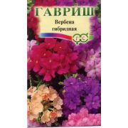 Вербена Романс F1 смесь 0,1г Гавриш