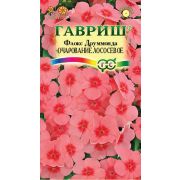 Флокс Очарование лососевое, друммонда 0,05 г Гавриш