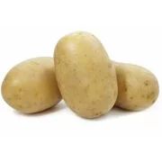 Картофель Вега 1 репродукция 1кг -215р