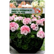 Пеларгония Пинто Премиум F1 Вайт То Роз  5шт Биотехника