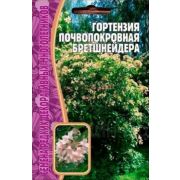 Гортензия Бретшнейдера почвопокровная 20шт Редкие семена