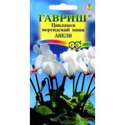 Цикламен Анели персидский 3шт Гавриш