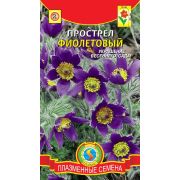 Прострел Фиолетовый 10шт Агроника