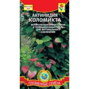Актинидия коломикта 10шт Агроника