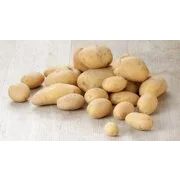 Картофель Лина 1 репрадукция 1кг-215р