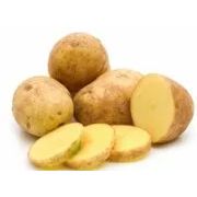 Картофель Тулеевский Элита 1кг-215р