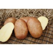 Картофель Краса 0,02г Седек