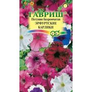 Петуния Эрфуртские карлики бахромчатые 7шт Гавриш