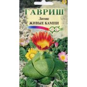 Литопс Живые Камни 5шт Гавриш