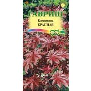 Клещевина Красная  5 шт Гавриш