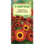 Хризантема Танец Огня 0,5г Гавриш