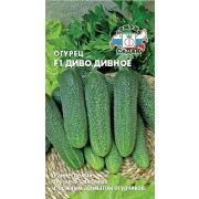 Огурец Диво Дивное F1 0,2г Седек