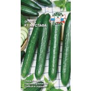 Огурец Мустафа F1 0,15г Седек 136р