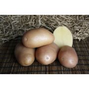 Картофель Ажур 0,02г Седек