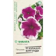 Петуния Хулахуп Бургунди 5шт Гавриш