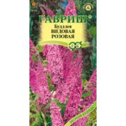 Буддлея Видовая Розовая Давида 0,1г Гавриш