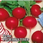 Редис Ризенбуттер 25г Гавриш