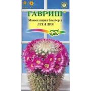 Маммилярия Летиция 2шт Гавриш