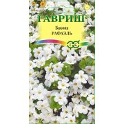 Бакопа Рафаэль (Сутера) 3шт Гавриш