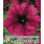 Петуния Фалкон Бургунди 100шт Гавриш