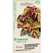 Колеус Файервей Мозаик Блюме 4шт Гавриш