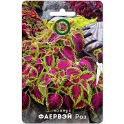 Колеус Фаервэй Роз 10шт Биотехника
