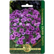 Остеоспермум Санни Парпл 5шт Биотехника